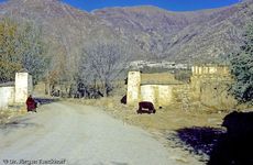 Tibet (167 von 257).jpg